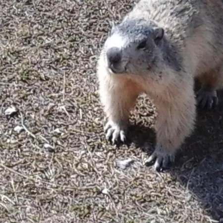 Le Seuil De Mes Reves * Le Lauzet-Ubaye
