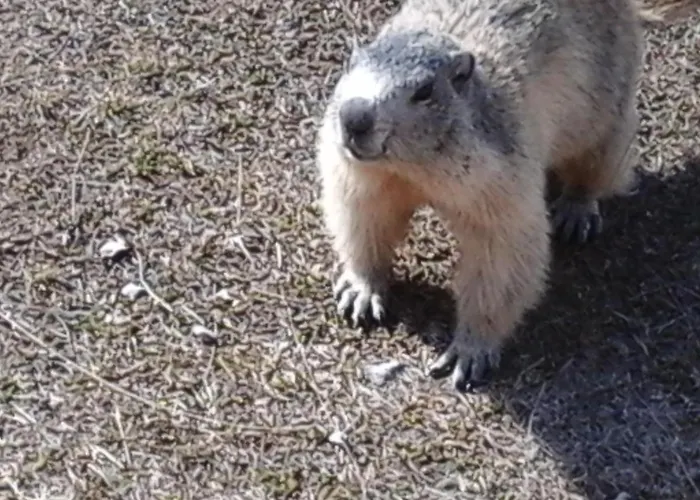 Le Seuil De Mes Reves * Le Lauzet-Ubaye